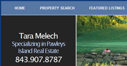 pawleysislandrealestateonline.com